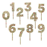 CONFETTI TIME NUMERAL CAKE TOPPER KIT