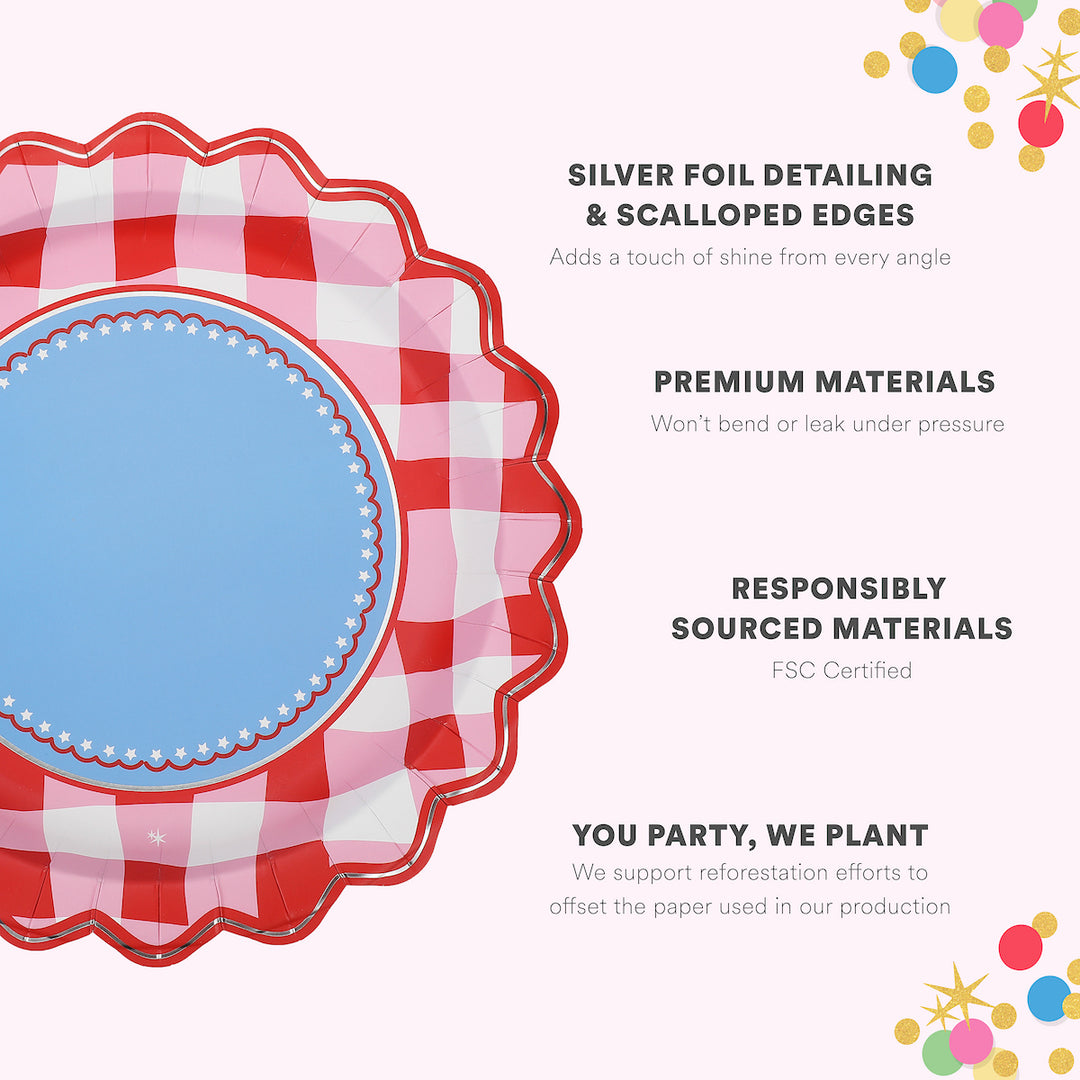 Picnic Perfect Gingham Dinner Plates (10 ct)