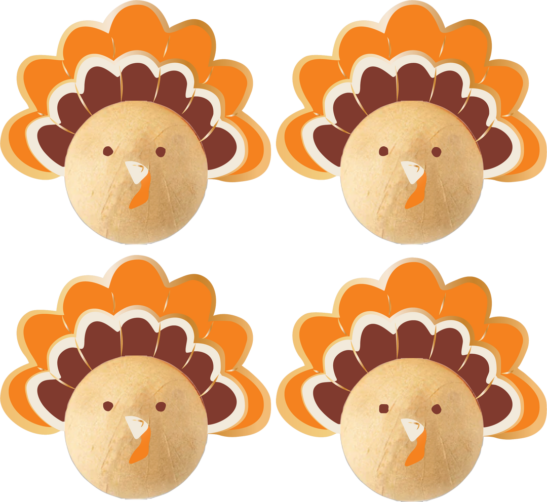TURKEY TIME SURPRISE BALLS